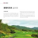 용평리조트 대중골프장 이미지