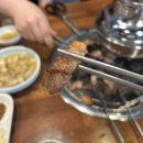 꼴통막창 - 진주시 진주대로542번길 5-8 | 꼴통막창