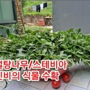 파주정수농장 이미지