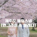 설레다 | 연그라미 + 설레다 제주 웨딩스냅 솔직후기 ② | 4월 벚꽃·제주바다 촬영 보정본