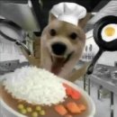 [일상] 항아리닭갈비막국수 춘천본점 후기