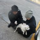 안면119안전센터 이미지