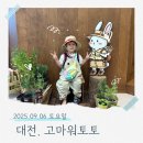 꼬르륵 | 2025년 09월 대전 고마워토토 <꼬르륵 캠핑> 솔직 후기