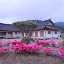 용문초등학교 이미지