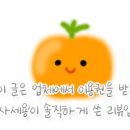 꽃돼지실내포차