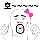 펫스토리 이미지