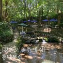강원도 원주 계곡 맛집 금대리 통나무집 메뉴 솔직한 후기