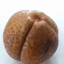 춘광경로당 이미지