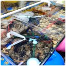 천지수산 이미지