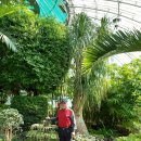 부산수목전시원 이미지