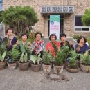 연당5리마을회관 이미지