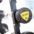 짐엑스텐 이미지