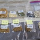 가좌농장 이미지