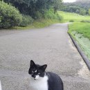 수락골프클럽 | 골프클럽Q 라운드 후기_결혼기념일 라운드