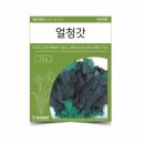 씨앗 - 남양주시 덕소로116번길 11 | 씨앗