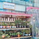 디어마이에덴