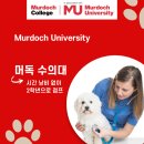 명성BSC