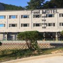 필무인텔 이미지