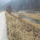 동강공인중개사사무소 이미지