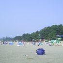 갯벌체험 티스토리