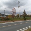 광산구-143 이미지