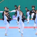 다음세대 태권도 이미지