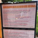 뜰애칼국수 네이버블로그