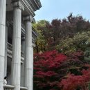 (주)와플 | 서울 단풍명소 추천 | 덕수궁 단풍현황 &amp; 무료입장 | 리에제와플 후기