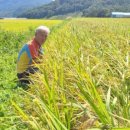 미소담농장 이미지