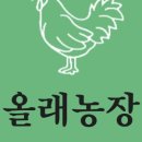 수란농장 이미지