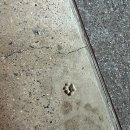 나아하 | 🏡 퇴사 겸 워크샵 다녀온 후기💗 나아하 NAAHA에서 마지막 추억 쌓기!