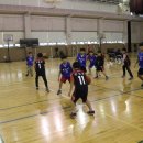 강남스포츠문화센터 대체육관 이미지