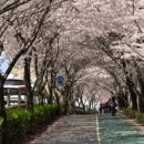 온양역길 이미지