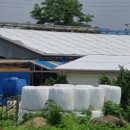 양주축산 이미지