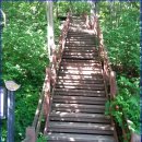 덕산용림제주변 | 장수 장안산 산행과 덕산계곡 트레킹