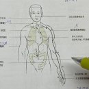 [22강] 경락을 통한 진단(9월2일) 이미지