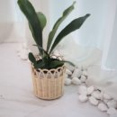 소품바구니 DIY체험 이미지