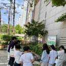 나눔초등학교 이미지