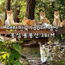 용봉사 입구 | 충남 홍성 용봉산 등산코스 최단코스 고양이산 등린이 추천