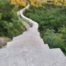 RE:5 /25 (월) (시간변경)대체 공휴일 인왕산 노을 (석양) /서촌 영화루 중화요리 이미지