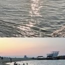 호텔야자 (레니스호텔) | 봄여름가을겨울 봄