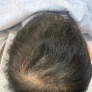 모비디크