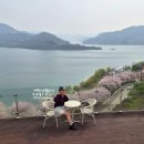 마암초등학교 | 임실 가볼만한곳 옥정호 벚꽃 드라이브 전망대 벚꽃명소 주차