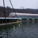 자일낚시터 이미지