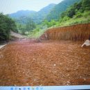 김삿갓면-19 이미지