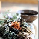 점봉산산채 이미지