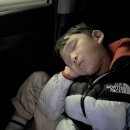 동문설렁탕 | *서울랜드 9세아이와 즐기기*서울랜드 맛집*서울랜드 동문주차장