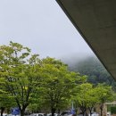 시인의정원펜션 | 원주 뮤지엄산 관람 후기, 기념품샵·건축미·야외조각까지 한눈에