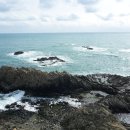 양남주상절리 이미지