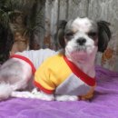 동북고등학교 이미지